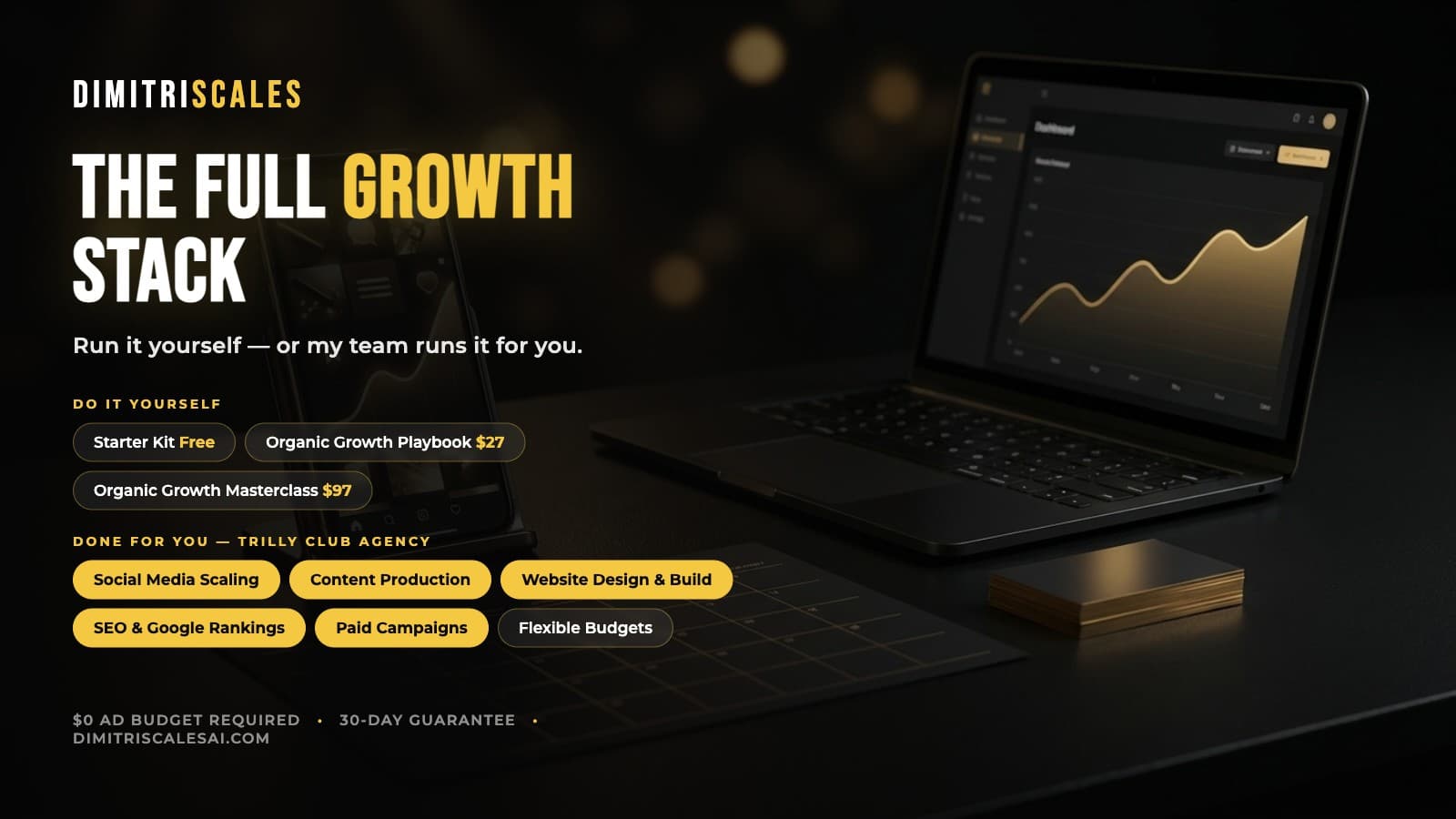 The full DimitriScales growth stack — social media scaling, content production, website builds, SEO and Google rankings, and paid campaigns, delivered by the TRILLY CLUB agency